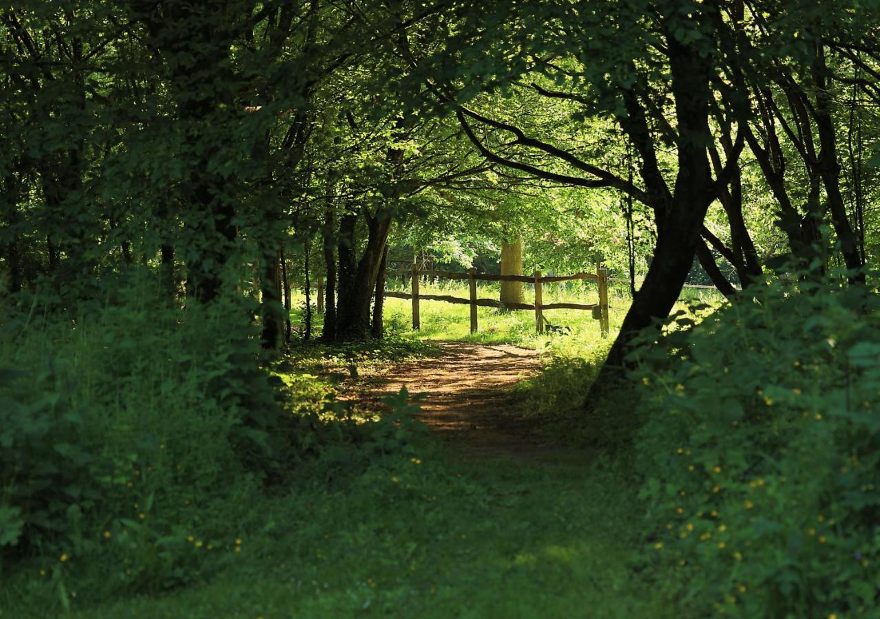 Domaine De Fresnoy Bed & Breakfast Loison-sur-Crequoise ภายนอก รูปภาพ