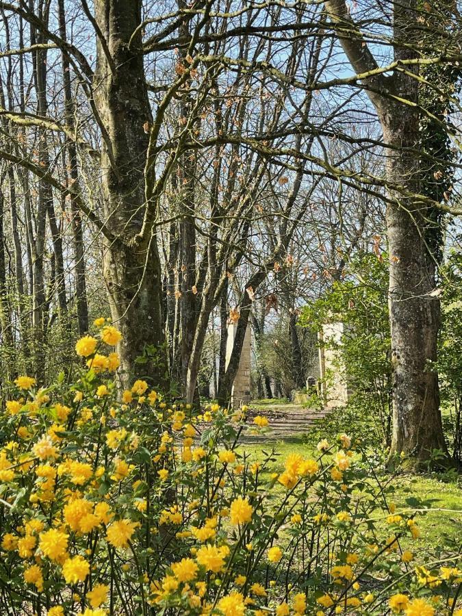 Domaine De Fresnoy Bed & Breakfast Loison-sur-Crequoise ภายนอก รูปภาพ