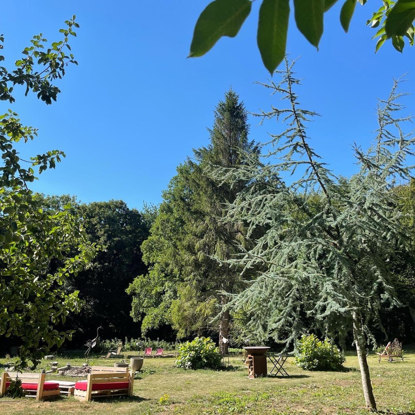 Domaine De Fresnoy Bed & Breakfast Loison-sur-Crequoise ภายนอก รูปภาพ