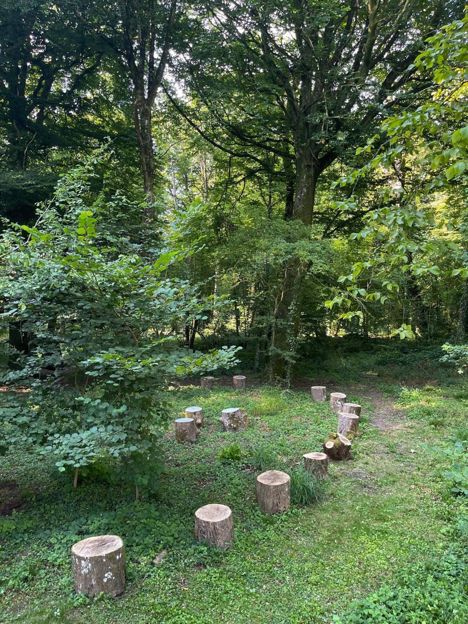 Domaine De Fresnoy Bed & Breakfast Loison-sur-Crequoise ภายนอก รูปภาพ